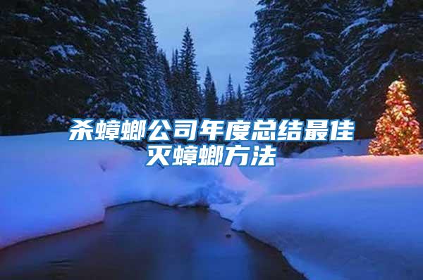 殺蟑螂公司年度總結(jié)最佳滅蟑螂方法