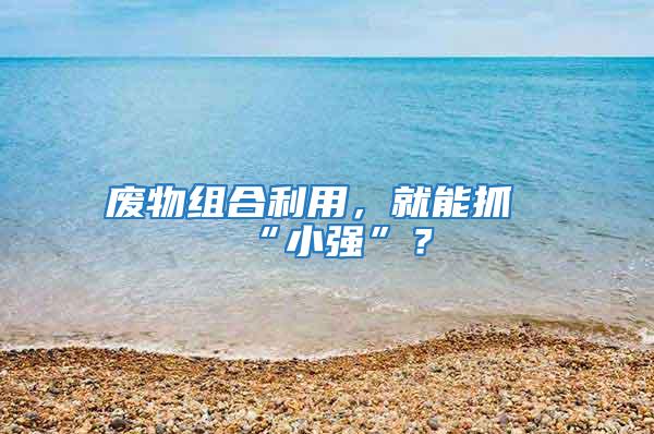 廢物組合利用，就能抓“小強”？
