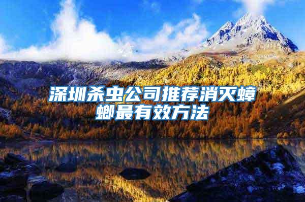 深圳殺蟲(chóng)公司推薦消滅蟑螂最有效方法