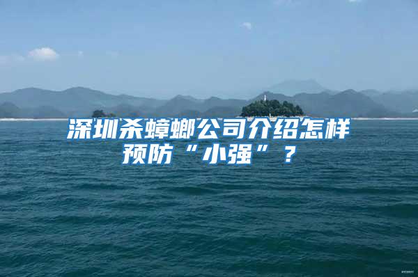 深圳殺蟑螂公司介紹怎樣預防“小強”？
