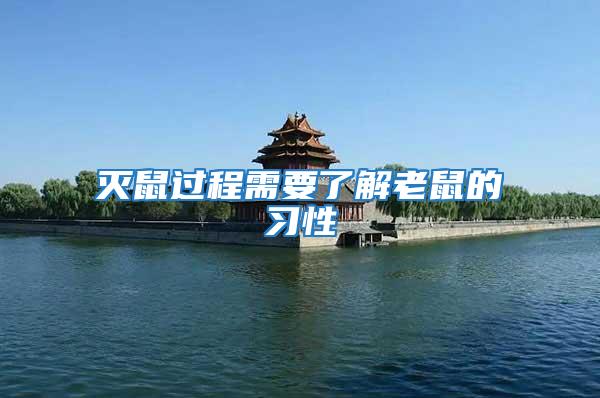 滅鼠過程需要了解老鼠的習性