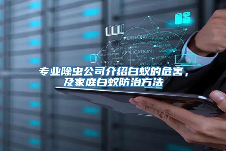 專業除蟲公司介紹白蟻的危害，及家庭白蟻防治方法