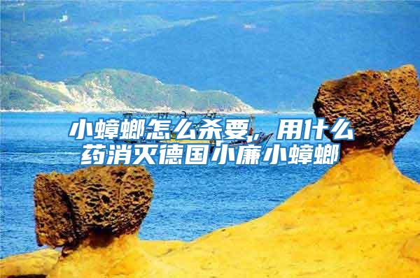 小蟑螂怎么殺要，用什么藥消滅德國小廉小蟑螂