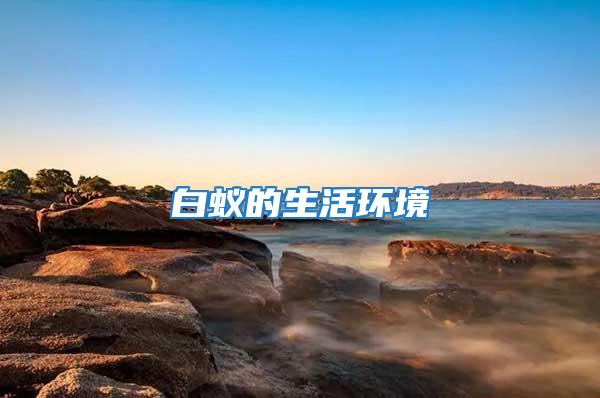 白蟻的生活環境