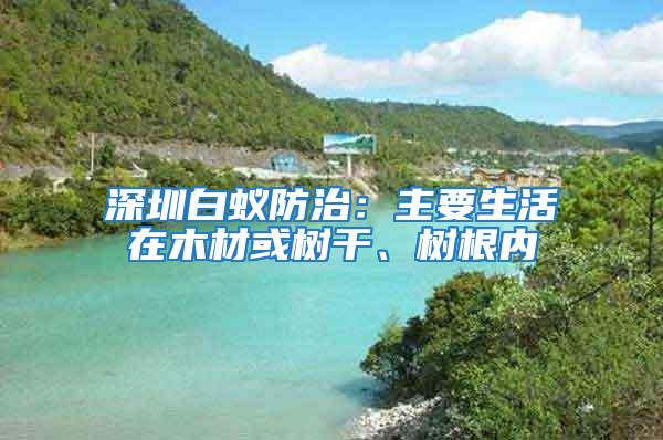 深圳白蟻防治：主要生活在木材或樹干、樹根內