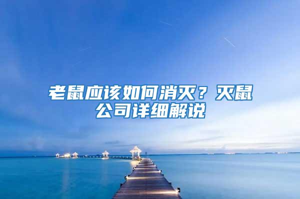 老鼠應(yīng)該如何消滅？滅鼠公司詳細(xì)解說(shuō)