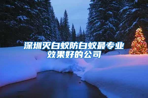深圳滅白蟻防白蟻?zhàn)顚I(yè)效果好的公司
