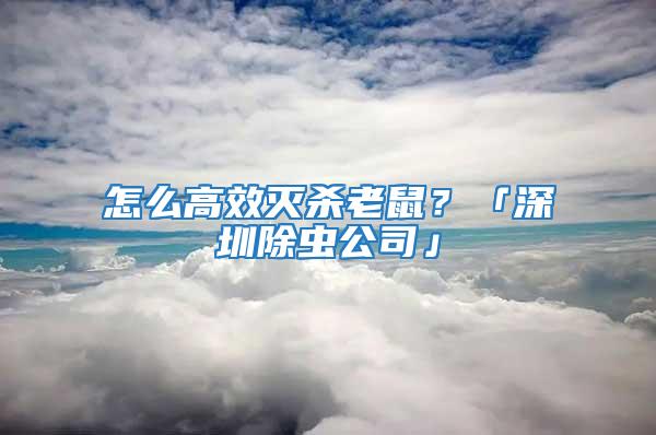 怎么高效滅殺老鼠？「深圳除蟲公司」