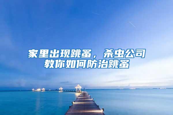 家里出現(xiàn)跳蚤，殺蟲(chóng)公司教你如何防治跳蚤