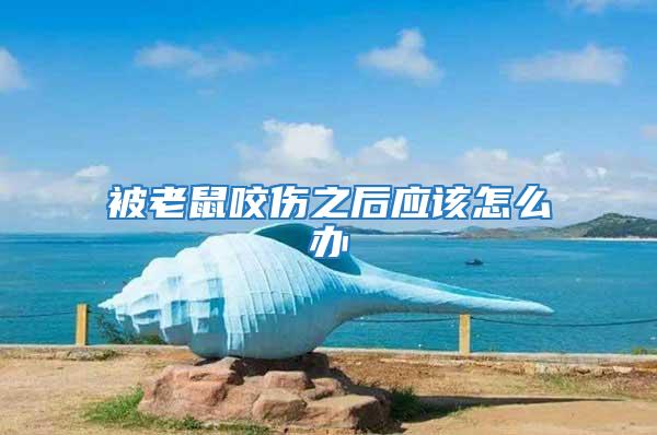 被老鼠咬傷之后應(yīng)該怎么辦