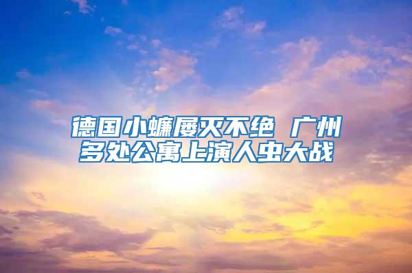 德國小蠊屢滅不絕 廣州多處公寓上演人蟲大戰