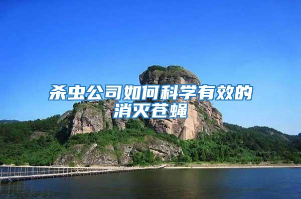 殺蟲(chóng)公司如何科學(xué)有效的消滅蒼蠅