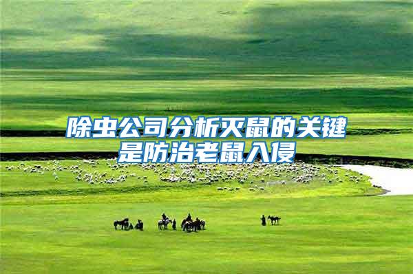 除蟲公司分析滅鼠的關鍵是防治老鼠入侵