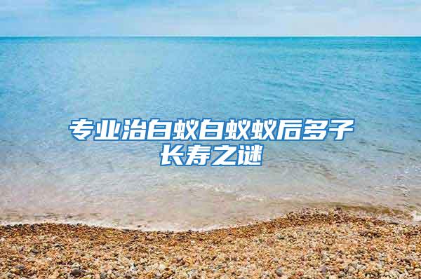 專業治白蟻白蟻蟻后多子長壽之謎