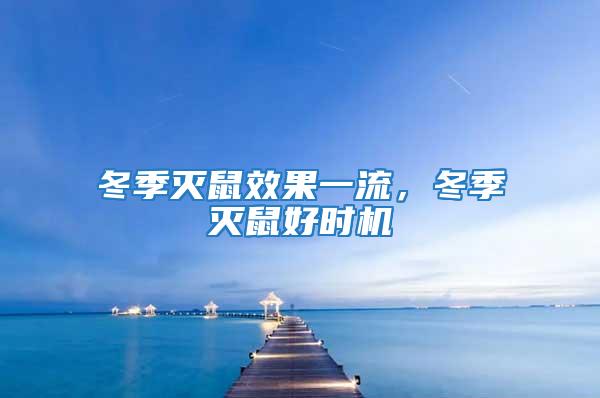 冬季滅鼠效果一流，冬季滅鼠好時機