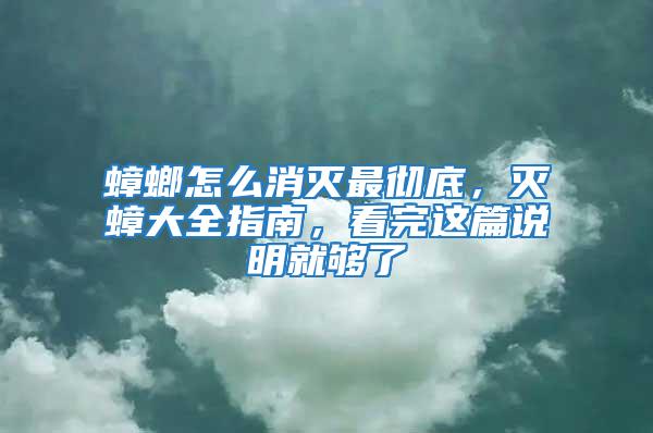蟑螂怎么消滅最徹底，滅蟑大全指南，看完這篇說明就夠了