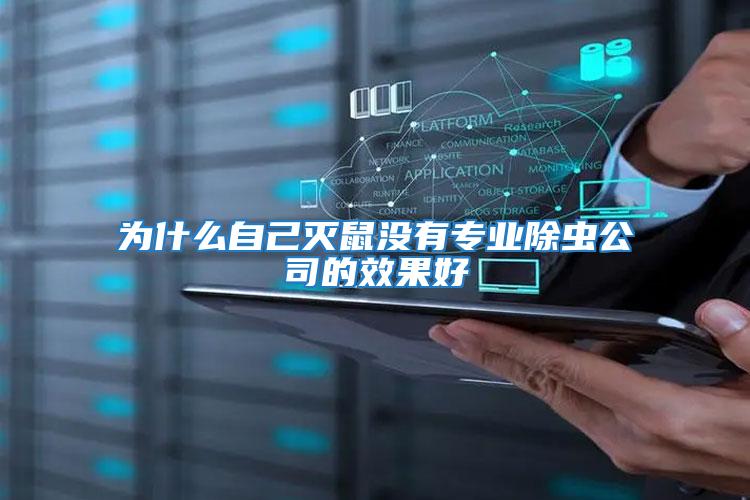 為什么自己滅鼠沒有專業除蟲公司的效果好