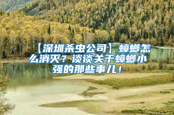 【深圳殺蟲公司】蟑螂怎么消滅？談?wù)勱P(guān)于蟑螂小強的那些事兒！