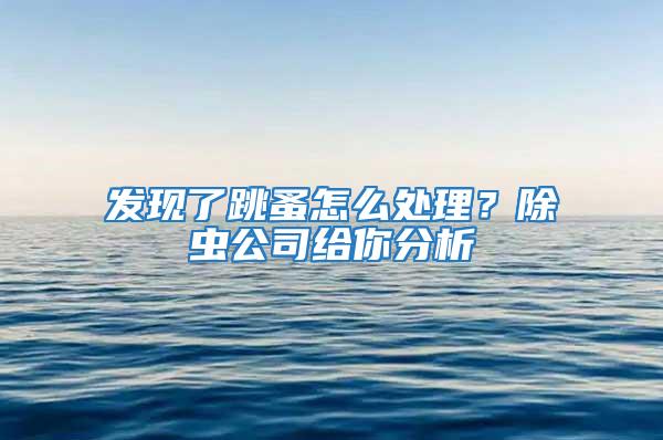 發現了跳蚤怎么處理？除蟲公司給你分析
