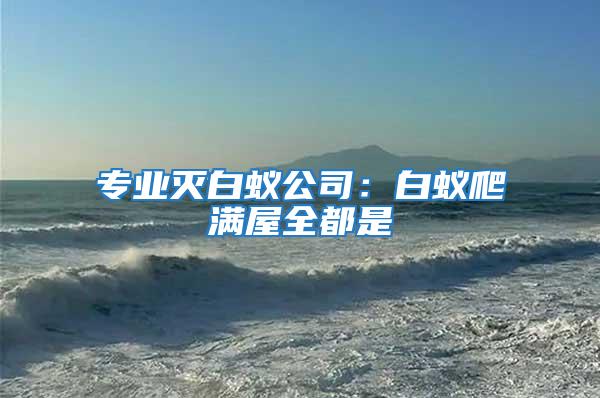 專業滅白蟻公司：白蟻爬滿屋全都是