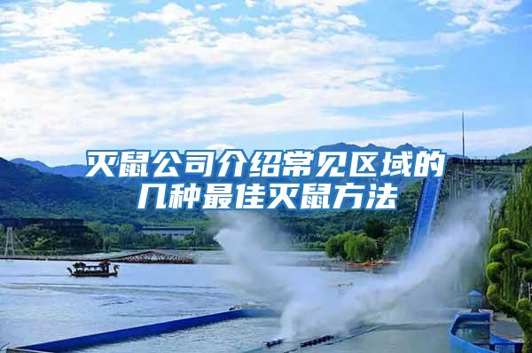 滅鼠公司介紹常見區(qū)域的幾種最佳滅鼠方法