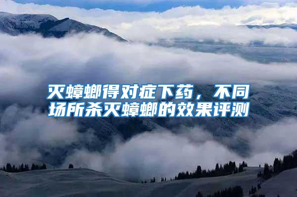滅蟑螂得對癥下藥，不同場所殺滅蟑螂的效果評測