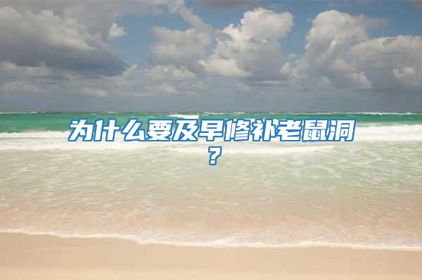 為什么要及早修補老鼠洞？