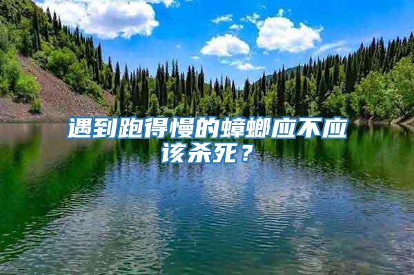 遇到跑得慢的蟑螂應不應該殺死？
