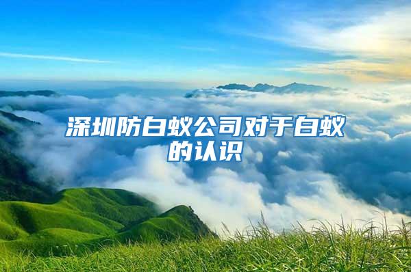 深圳防白蟻公司對(duì)于白蟻的認(rèn)識(shí)