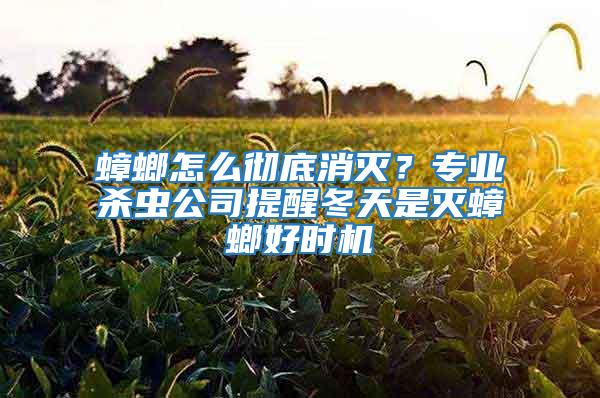 蟑螂怎么徹底消滅？專業(yè)殺蟲(chóng)公司提醒冬天是滅蟑螂好時(shí)機(jī)