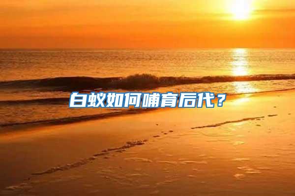 白蟻如何哺育后代？