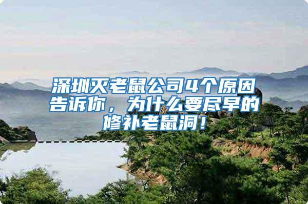 深圳滅老鼠公司4個原因告訴你，為什么要盡早的修補老鼠洞！