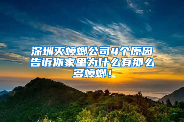 深圳滅蟑螂公司4個原因告訴你家里為什么有那么多蟑螂！