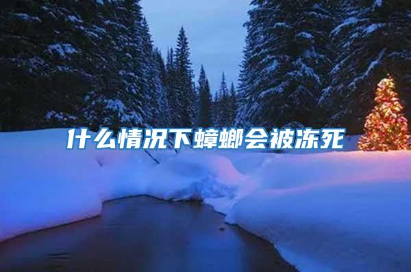 什么情況下蟑螂會(huì)被凍死