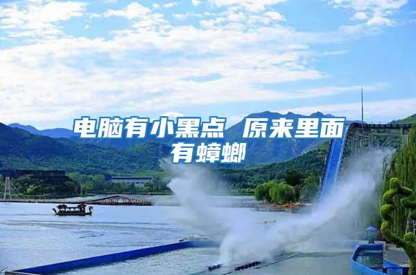 電腦有小黑點 原來里面有蟑螂