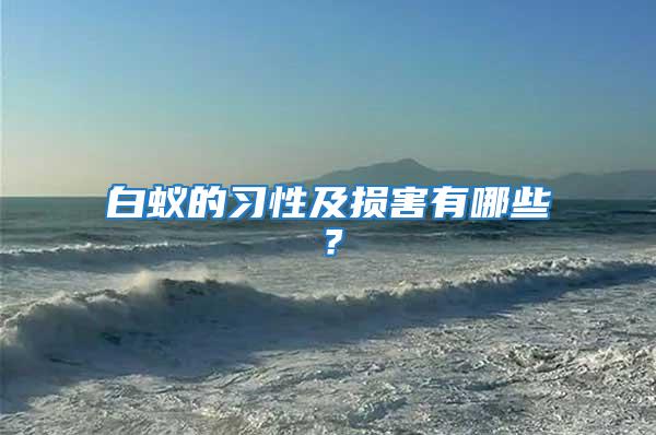白蟻的習性及損害有哪些？