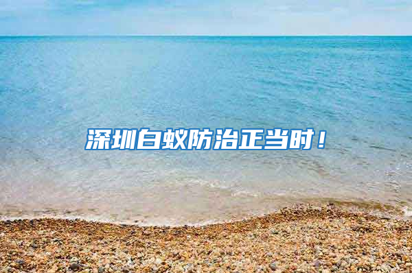 深圳白蟻防治正當(dāng)時(shí)！
