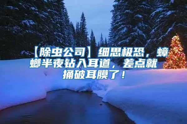 【除蟲公司】細思極恐，蟑螂半夜鉆入耳道，差點就捅破耳膜了！
