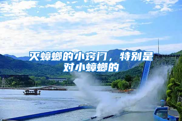滅蟑螂的小竅門，特別是對小蟑螂的