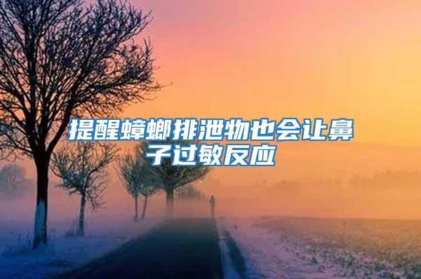 提醒蟑螂排泄物也會(huì)讓鼻子過(guò)敏反應(yīng)