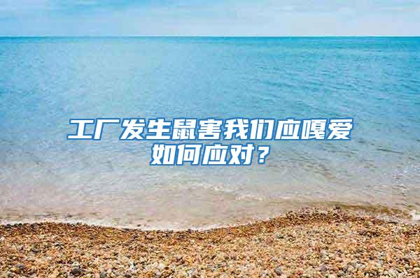 工廠發(fā)生鼠害我們應(yīng)嘎愛如何應(yīng)對(duì)？