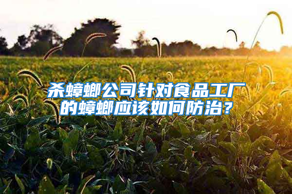 殺蟑螂公司針對食品工廠的蟑螂應(yīng)該如何防治？