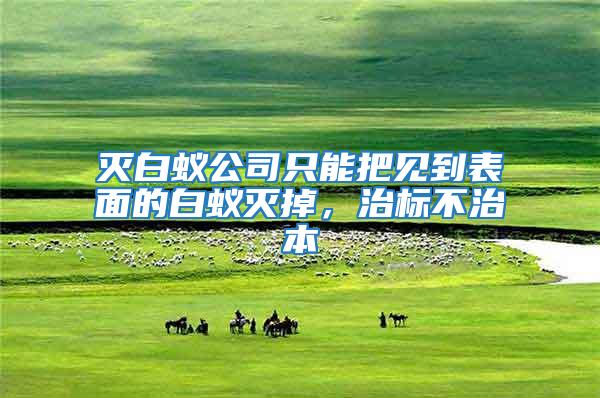 滅白蟻公司只能把見到表面的白蟻滅掉，治標(biāo)不治本