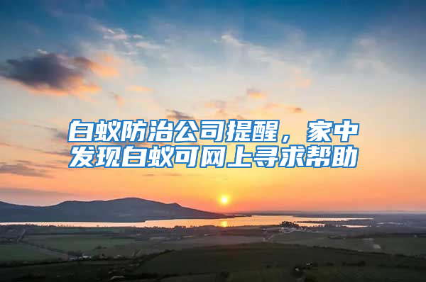白蟻防治公司提醒，家中發現白蟻可網上尋求幫助