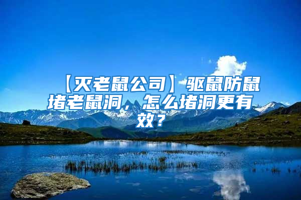 【滅老鼠公司】驅(qū)鼠防鼠堵老鼠洞，怎么堵洞更有效？