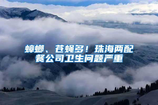 蟑螂、蒼蠅多！珠海兩配餐公司衛(wèi)生問題嚴重