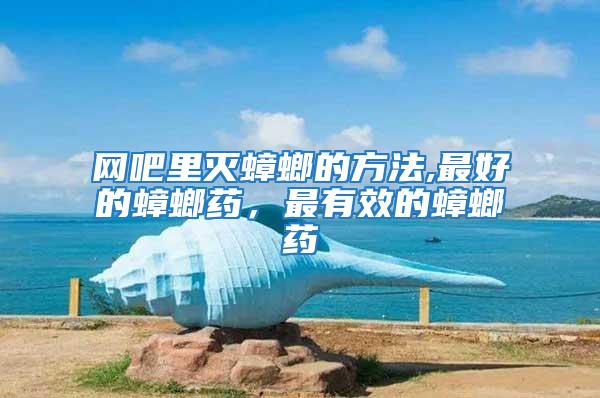 網(wǎng)吧里滅蟑螂的方法,最好的蟑螂藥，最有效的蟑螂藥