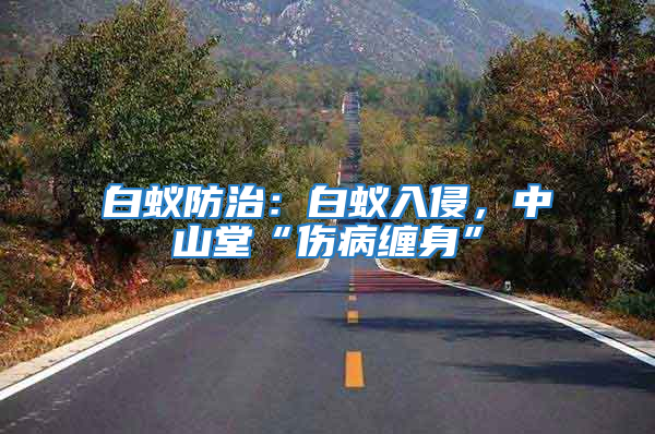 白蟻防治：白蟻入侵，中山堂“傷病纏身”