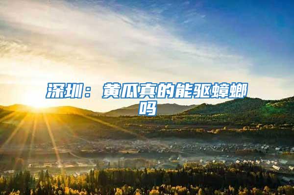 深圳：黃瓜真的能驅蟑螂嗎
