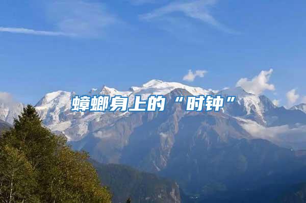 蟑螂身上的“時(shí)鐘”